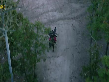 好剧推荐#唐宫奇案 #唐宫奇案开年上大分