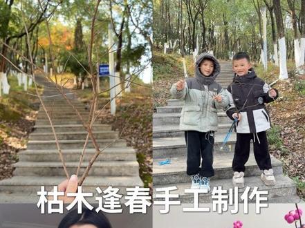 当彩泥遇上枯木 枯木也能逢春开出花#粘土手工 #树枝 #枯树逢春 #跟风