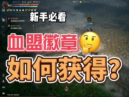 天堂W里血盟徽章怎么获得?有什么用?这里告诉你!
