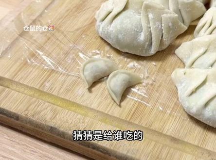 那么小的饺子猜猜是做给谁吃的?#仓鼠 #金丝熊