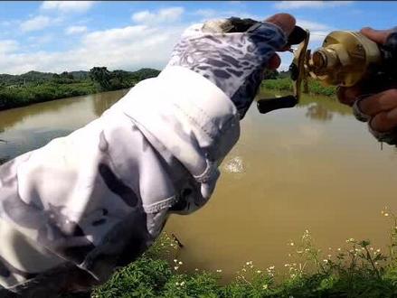 国内第一只cq201!玩了两周,挺好!不会测评,就是手快!#路亚