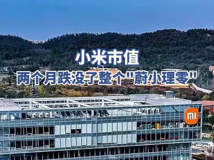 小米市值,两个月跌没了整个“蔚小理零”(中新经纬)