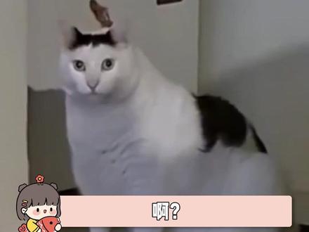 这些歌居然不是自己长出来的吗?! 博主:@所长sama #音乐 #复仇摇 #孔雪儿 #颜安 #邓凯