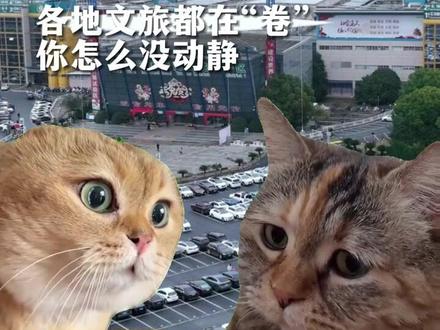 义乌文旅为什么没有动静? #义乌文旅 #各地文旅局都疯狂battle起来了 #文旅局长们卷起来了 #谁懂啊