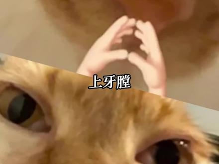 吃饭这门艺术,我要需继续深耕!#美食 #吃饭 #享受 #冷知识 #学到了