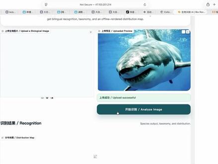 #编程 #ai codex太好用