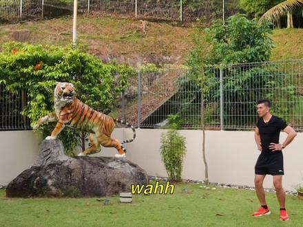 体验1天Dato Sri Soh的生活🐅
#简单生活 #马来西亚