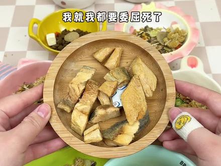 为数不多的配粮!和..小小回应🥹#仓鼠 #金丝熊