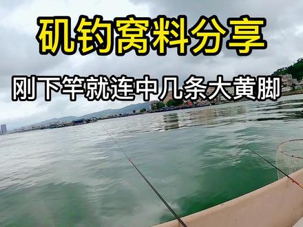 新窝料配方试过两天效果不错,记得关注收藏下载,下次不一定能找到我#创作灵感 #海钓小技巧 #原创视频 #矶钓窝料 #海钓
