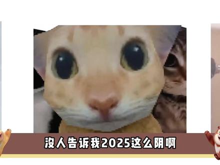 从夯到拉锐评25年梗曲:看看你听过几个,全听过的网瘾太大了! #我在抖音看动漫 #动漫编年史 #瓦瓦 #奶龙 #精卫