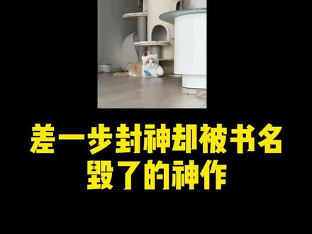 用心写书,用脚起名,这几本书全被离谱的书名毁了,不然轻松吊打三少,斩神!#小说 #番茄小说