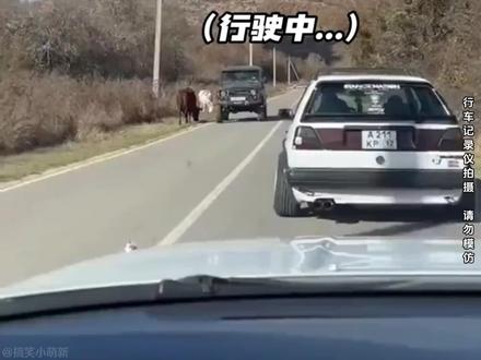 盘点那些不干人事的老六