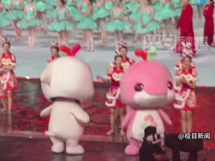 全运会“大湾鸡”意外走红,系40名“10后”武校学生扮演,被称为“史上最癫吉祥物”#十五运吉祥物 #活力大湾鸡 #全运会 #全运会开幕式