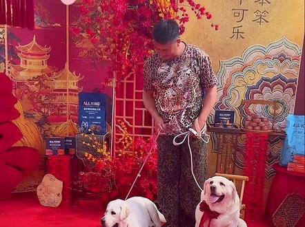 前男友毛毛抢亲现场?! !
#热门 #婚礼 #抢亲 #宠物交流大会 #萌宠出道计划 粉丝二创,素材出自:@周小帅的朋友圈 @贪玩的小胖