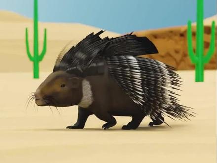 豪猪的毛刺是像箭矢一样发射出去的吗 #科普 #豪猪 #豪猪刺