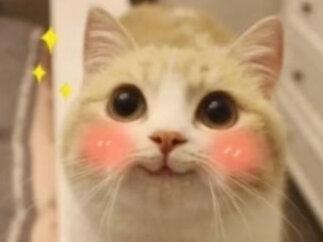 “第一次接吻是什么感觉”#今日话题#高中#恋爱#情感