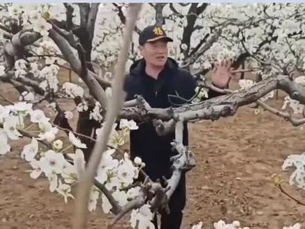 我是一个普通的导游,而梨花声音研修院成为了我实现变现梦想的起点!在这里,我学习了更多关于旅游解说的技巧,并通过直播变现成功接单!每次我用生动的声音描述着旅游景点的历史、文化和故事,听众们仿佛身临其境,感受到了旅行的魅力。