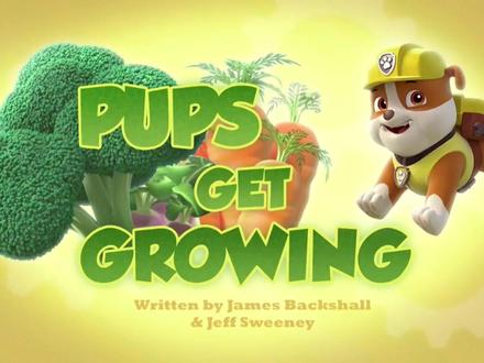 第三季/汪汪队立大功/巨大的蔬菜 #汪汪队#第三季#蔬菜