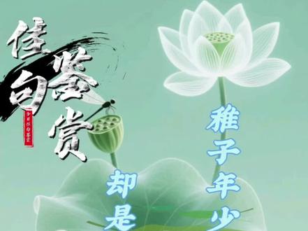 #每日分享#诗词稚子年少不知事,却是人生最乐时 #诗词名句赏析 #总有一句话戳心