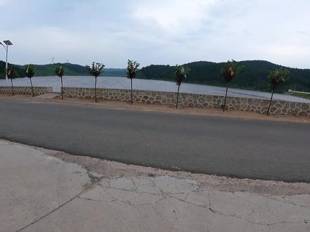 收费300元的水库,鱼情堪比黑坑,草鱼密密连杆太过瘾了!