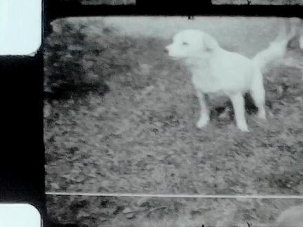 这款AI神器让你的视频秒变高清大片!还能一键去水印+抠图! 免费试用HitPaw VikPea:cutt.ly/7rlRKSlG
立享频道专属优惠:cutt.ly/yrlRZYSk
我发现很多帖子也都有贴HitPaw VikPea的优惠码,【切换到繁体中文版】,输入【YTW20】,可以享受优惠,大家可以试一下,注意:一定要是繁体中文版才有福利噢。
今天,我挖到了一个宝藏级的AI视频增强神器——HitPaw VikPea !简直是手残党和效率党的福音!
这款软件不仅操作简单,而且功能强大,适合各种视频类型,包括风景、人物、动漫等。无论是想提升视频分辨率,还是去除水印、抠图、修复老旧视频,HitPaw VikPea都能轻松搞定!
主要功能亮点:
AI模型选择:根据视频内容灵活匹配最佳处理模型。
一键预览:处理前后效果对比,确保达到预期效果。
批量处理:一次性处理多个视频,提高效率。
去水印与抠图:轻松去除视频中的水印和杂乱背景。
视频修复:修复模糊、损坏的老旧视频,恢复清晰画质。
网盘链接:pan.quark.cn/s/cff1a2fe99b4
#hitpaw #hitpawvikpea #画质修复 #ai #去水印