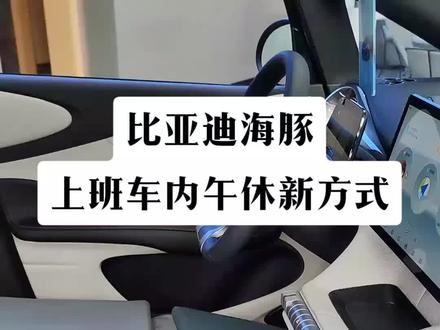比亚迪海豚车内午休新方式#上热门 #海豚#比亚迪海豚