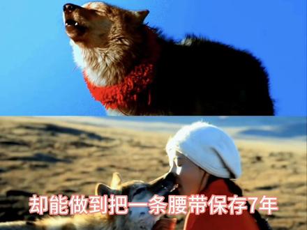 燕子回时,愿别来无恙#李微漪 #格林 #李微漪和格林的故事 #重返狼群