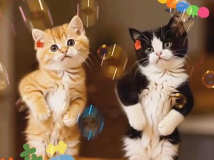 六一节猫咪跳少儿舞蹈《加油鸭》 #猫咪跳舞ai #加油鸭舞蹈 #六一儿童节舞蹈 #儿歌舞蹈 #我在抖音拍特效 @DOU+小助手