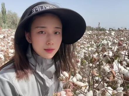 科普一下,你们问的最多的问题,人工摘棉花只摘地头