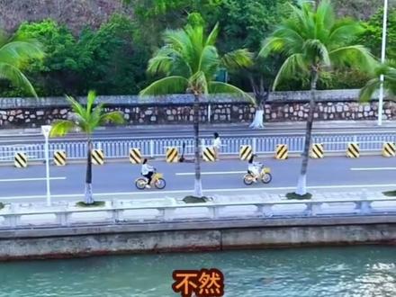 人到中年,最好的养生方式是什么
#国学文化 #国学智慧 #曾仕强教授