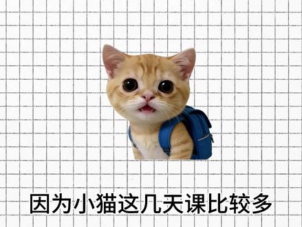 微信表情包来咯#小猫 #猫meme #小猫说说说 #微信表情包 #青年创作者计划