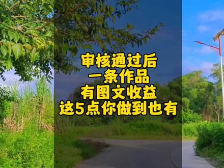 审核通过后,一条作品就有图文收益,做到这5点你也可以有#中视频伙伴计划 #图文收益 #经验分享 #干货#上热门🔥