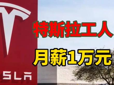 月薪1万元,一年17薪,马斯克黑心资本家 #特斯拉 #马斯克 #新能源汽车 #三星 #工资 #工厂 #公司