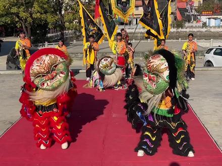 #非物质文化遗产 明朝碣石卫600年文化传承,军狮,盖仔狮