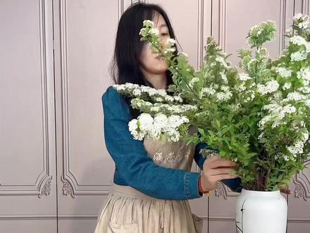 麻叶绣线菊又名小手球,花开在每年的4-5月。
#鲜花批发 #郑州鲜花#小手球花语 #小手球的养护 #花店日常