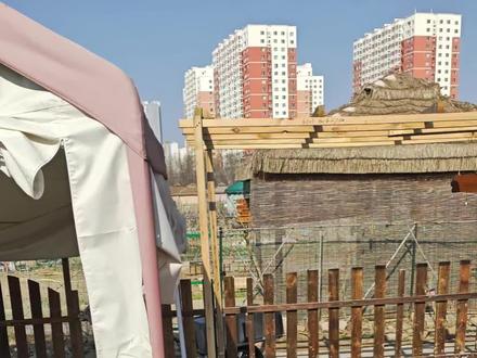 有很多事情想象当中很难,但是只要你去做了以后,你就会发现,确实挺难的#小院改造#退休生活#共享菜园#QQ农场#田园生活