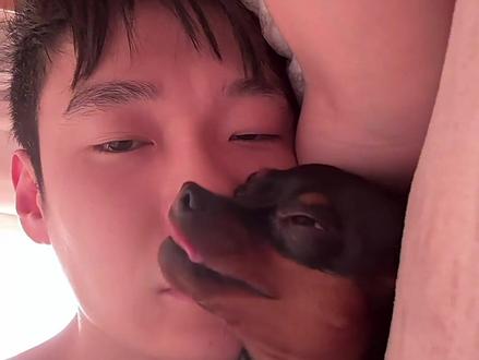 最真实的宠物博主的一天~
#迷惑行为大赏 #萌宠 #vlog日常