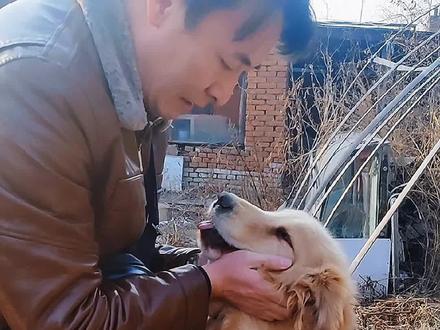 金毛甜甜寻主记(一)请替我继续去爱它!是圣哥亲自完成粉丝委托任务的首部记实作品,这样的任务,也希望是Z后一次!#狗狗 #狗狗找新家 #养犬正能量
