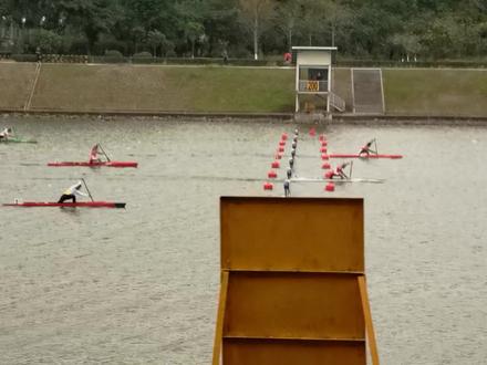 1000m男子单人划艇决A太精彩!大飞和刘浩针尖对麦芒啊!!!#水上运动 #皮划艇 #运动员 精彩!!!