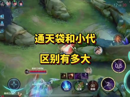通天袋和小代的区别有多大#王者 #通天代