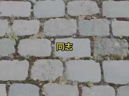 《爱的迫降》李正赫父亲好像就是次帅!朝鲜军衔!#朝鲜军衔