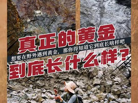 真正的黄金,到底长什么样?#黄金 #金矿 #户外 #科普