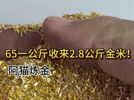 65一公斤收来的2.8公斤金米,看能提炼出多少克黄金? #黄金提炼 #贵金属提炼 #真空镀膜 #电镀厂 #电子垃圾提炼黄金 @抖音创作小助手