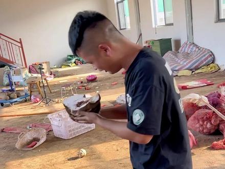 他们说生魔芋不可以吃、我是直接不相信。就吃了一口舌头疼牙齿疼、背时了。如果误吃魔芋就用碱搭配白醋加水化开漱口可以缓解疼痛。 #生吃魔芋#小花魔芋