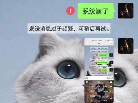 草率了 系统炸坏了#微信 #这是一个悲伤的故事