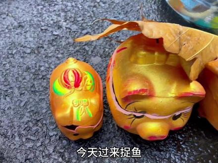 认识红尾鲶鱼、鹦鹉鱼 #红尾鲶鱼 #鹦鹉鱼