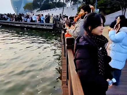 今年云龙湖海鸥多,核心是生态变好、食物够、气候和迁徙路径合适,加上投喂助力。
一、核心原因
1. 生态显著改善:持续控源截污、退渔还湖、建生态岸线与鸟岛,水质和植被覆盖率提升,为候鸟提供安全栖息地。
2. 食物资源充足:水体鱼虾丰富,增殖放流优化鱼类群落,市民投喂也补充了食物,吸引海鸥停留。
3. 迁徙与气候优势:地处候鸟南北迁徙通道,冬季气温较北方沿海更温和,适合越冬,成了迁徙路上的“温馨驿站”。
4. 保护管理到位:设鸟类保护区、禁渔区,规范垂钓与回购,减少人为干扰,让候鸟安心栖息。
二、小提示
云龙湖常见银鸥、红嘴鸥,多在11月~次年3月停留,上午9:00-11:00和下午15:30-17:00最活跃,音乐桥、音乐厅两侧亲水平台是观赏佳点。