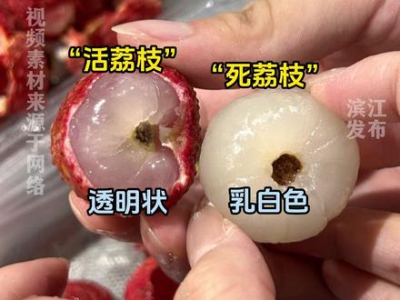 又到了吃#荔枝 的季节!你吃的是#活荔枝 还是#死荔枝 ?#水果