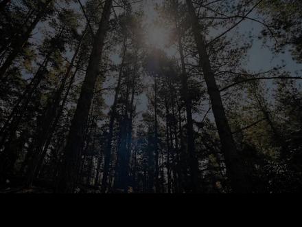 第二段,索尔。 #复仇者联盟5预告片