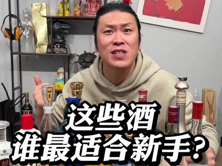 这些酒谁最适合新手? #酒 #白酒 #口粮酒
